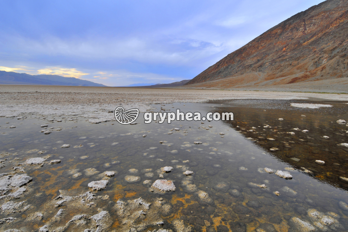 Vallée de la Mort - Bad Water (Death Valley NP, California, USA) - gryphea.org